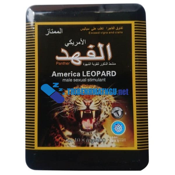 american-leopard-1-1