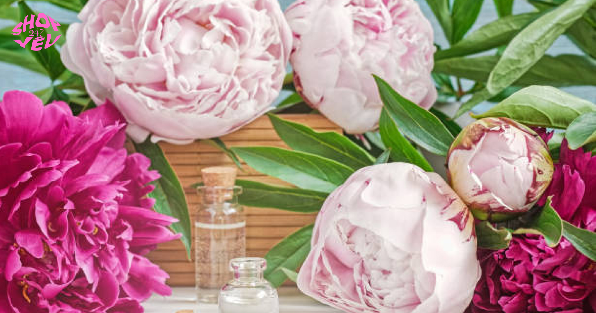 Cách Bán Nước Hoa Kích Dục Đúng Quy Định Và Bền Vững