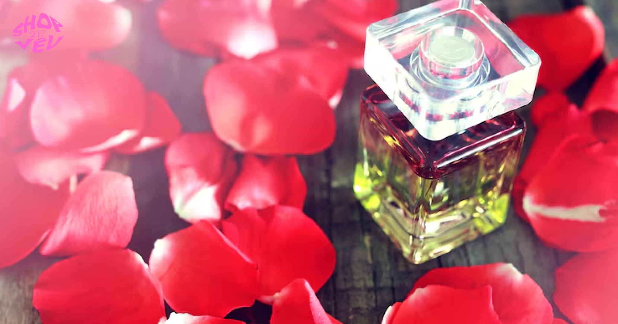 Nước Hoa Kích Dục “Cực Mạnh”_ Sự Thật Và Những Hiểu Lầm Phổ Biến