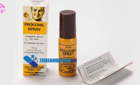 Thuốc Tăng Cường Sinh Lý Nam Khác Gì Thực Phẩm Chức Năng_